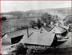 an old photo of the winery as it looked when it was built