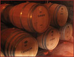 Beautiful oak barrels where our wine is aged before bottling